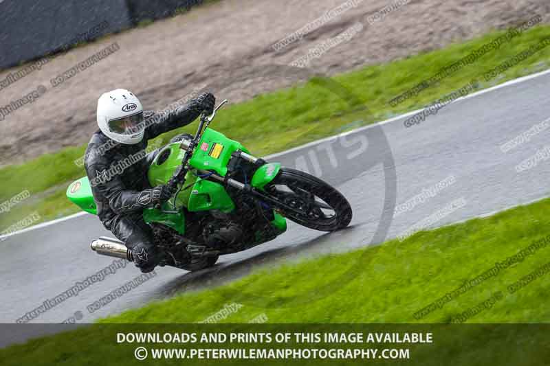 anglesey;brands hatch;cadwell park;croft;donington park;enduro digital images;event digital images;eventdigitalimages;mallory;no limits;oulton park;peter wileman photography;racing digital images;silverstone;snetterton;trackday digital images;trackday photos;vmcc banbury run;welsh 2 day enduro